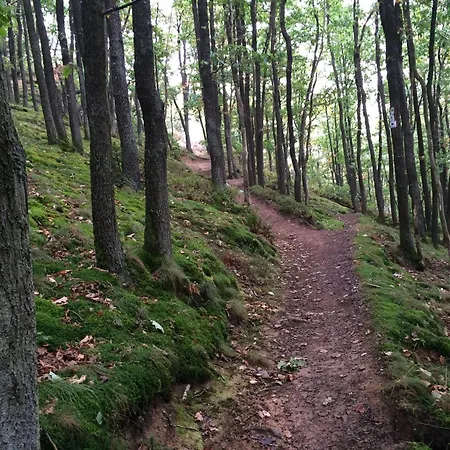 Ferienwohnung-geschwind דירה *