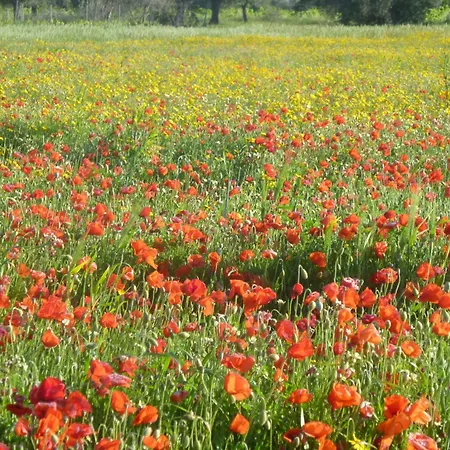 Ferienwohnung-geschwind *