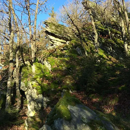 דירה Ferienwohnung-geschwind