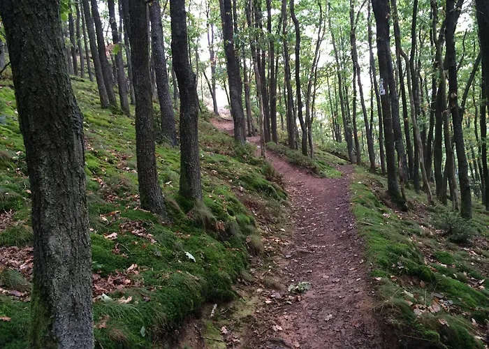 Ferienwohnung-geschwind Lejlighed *