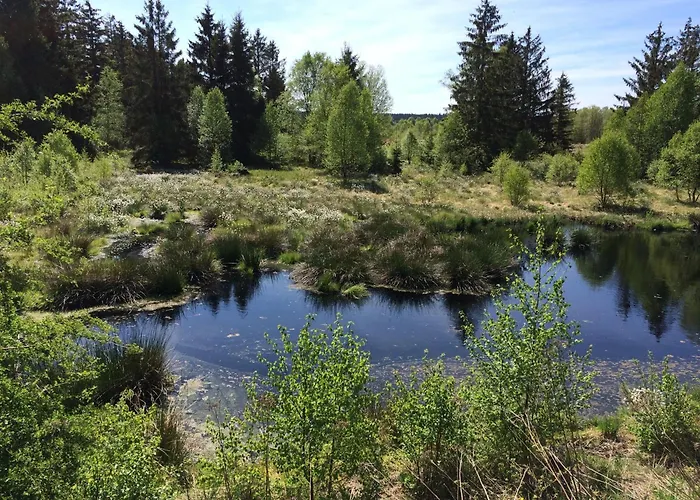 Ferienwohnung-geschwind Schleiden