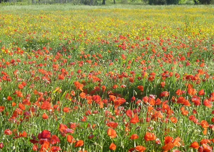 Ferienwohnung-geschwind *